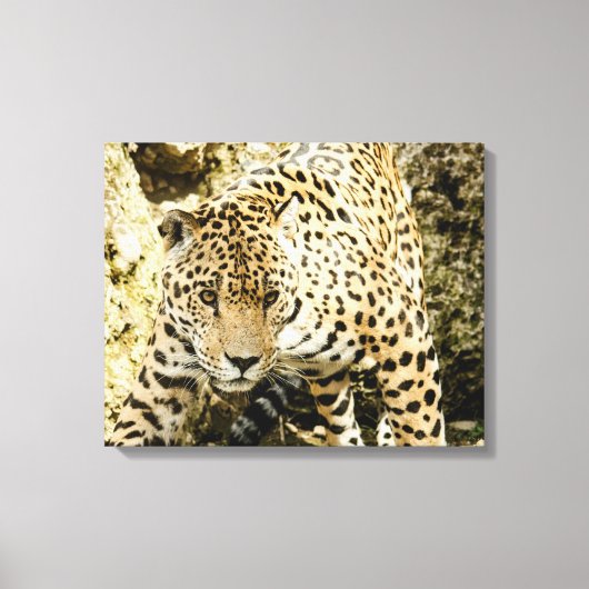 Leopard Leinwanddruck (Vorderseite)