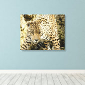 Leopard Leinwanddruck (Insitu (Holzboden))