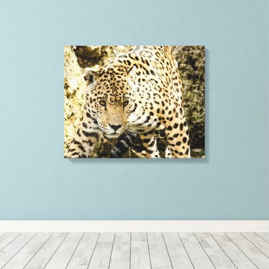 Leopard Leinwanddruck (Insitu (Holzboden))