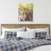 Leopard Leinwanddruck (Insitu (Schlafzimmer))