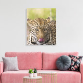 Leopard Leinwanddruck (Insitu (Wohnzimmer))