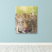 Leopard Leinwanddruck (Insitu (Holzboden))