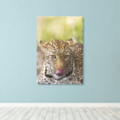 Leopard Leinwanddruck (Insitu (Holzboden))