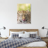 Leopard Leinwanddruck (Insitu (Schlafzimmer))