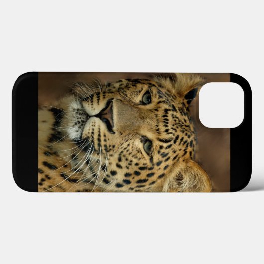 Leopard Liebe Kunst Case-Mate iPhone Hülle (Rückseite (Horizontal))