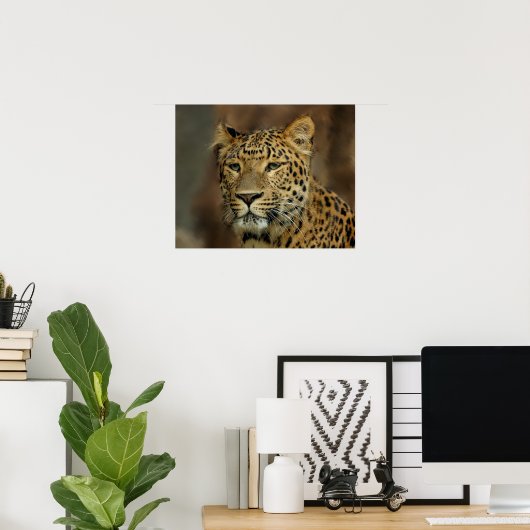 Leopard Liebe Kunst Poster (Heimbüro)