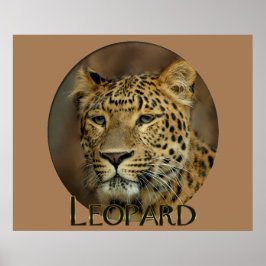Leopard Liebe Kunst Poster