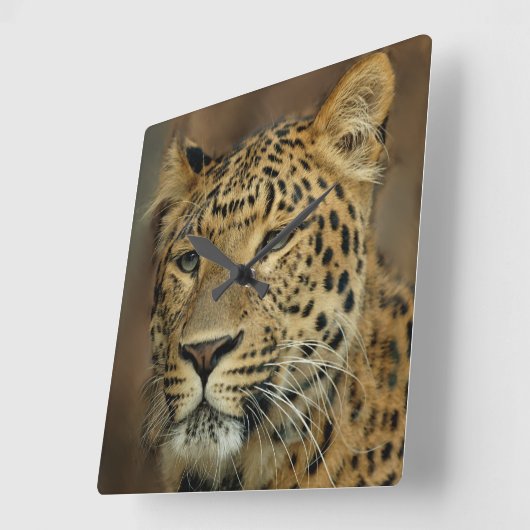 Leopard Liebe Kunst Quadratische Wanduhr (Winkel)