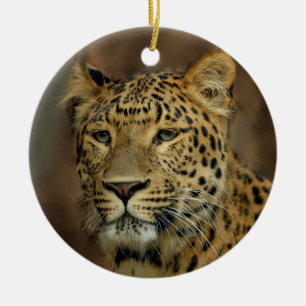 Leopard Liebhaber Weihnachtsbaum Keramikornament