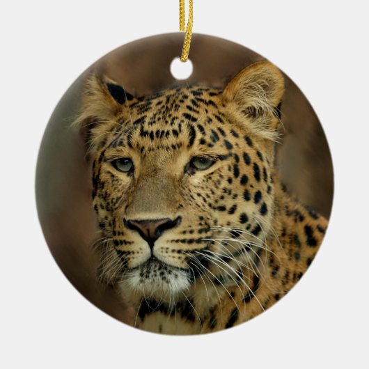 Leopard liebt Weihnachtsbaum Keramikornament (Vorne)