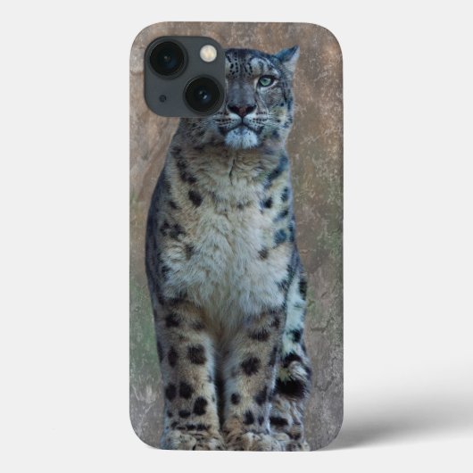 Leopard Lookout iPad Fall Case-Mate iPhone Hülle (Rückseite)
