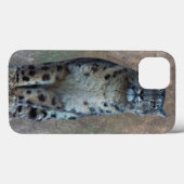 Leopard Lookout iPad Fall Case-Mate iPhone Hülle (Rückseite (Horizontal))