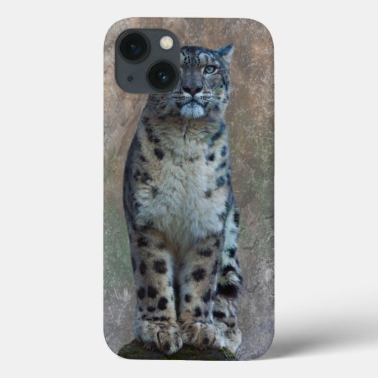 Leopard Lookout iPad Mini Fall Case-Mate iPhone Hülle (Rückseite)