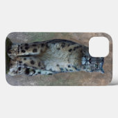 Leopard Lookout iPad Mini Fall Case-Mate iPhone Hülle (Rückseite (Horizontal))