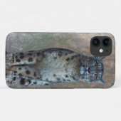 Leopard Lookout iPhone 11 Fall Case-Mate iPhone Hülle (Rückseite (Horizontal))