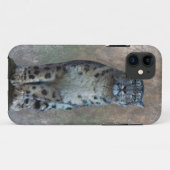Leopard Lookout iPhone 5 Hülle (Rückseite (Horizontal))