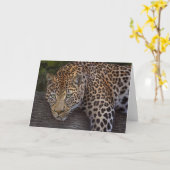 Leopard Lounging Karte (Gelbe Blume)