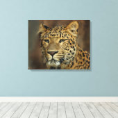 Leopard Lovers Leinwanddruck (Insitu (Holzboden))