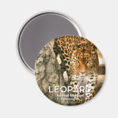 Leopard Magnet (Vorderseite/Rückseite)