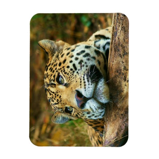 Leopard Magnet (Vertikal)