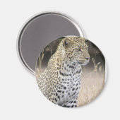 Leopard Magnet (Vorderseite/Rückseite)