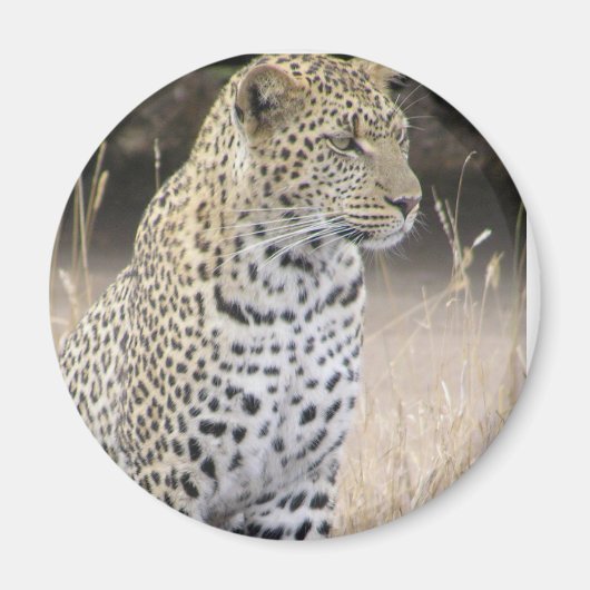 Leopard Magnet (Vorne)