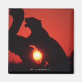 Leopard Magnet (Vorne)