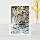 Leopard mit Augen geschlossen Karte (Gelbe Blume)