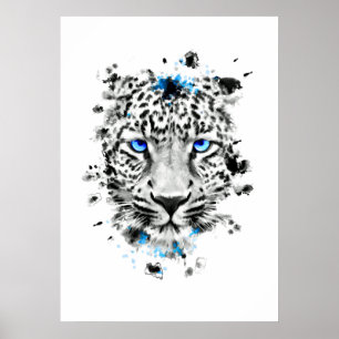 Leopard mit blauen Augen Poster