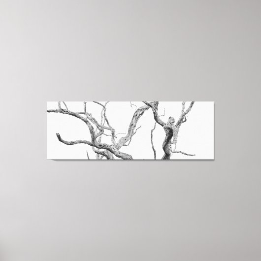 Leopard mit hoher Schlange: Inkanyeni Female Leinwanddruck (Vorderseite)