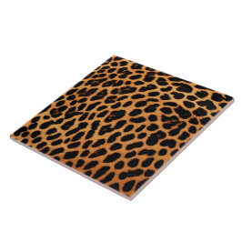 Leopard Moderne Sammlung von Katzen Fliese