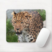 Leopard Mouse Pad Mousepad (Mit Mouse)