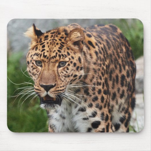 Leopard Mouse Pad Mousepad (Vorne)