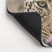 Leopard Mousepad (Ecke)