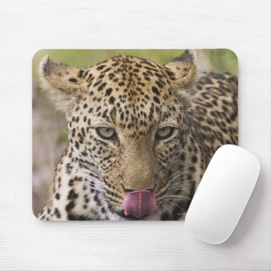 Leopard Mousepad (Mit Mouse)