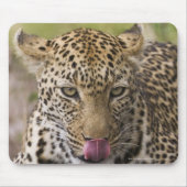 Leopard Mousepad (Vorne)