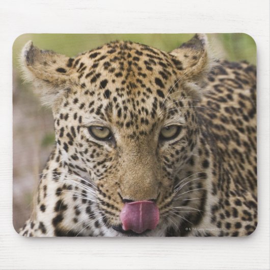 Leopard Mousepad (Vorne)