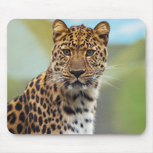 Leopard Mousepad (Vorne)