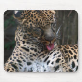 Leopard Mousepad (Vorne)