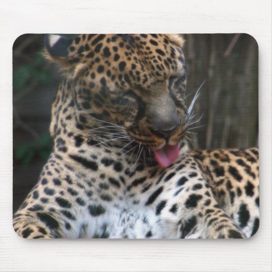 Leopard Mousepad (Vorne)