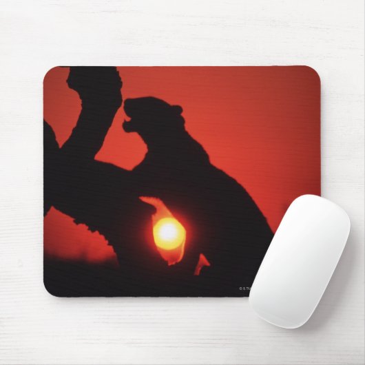 Leopard Mousepad (Mit Mouse)