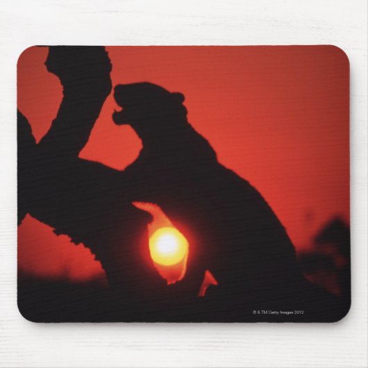 Leopard Mousepad (Vorne)