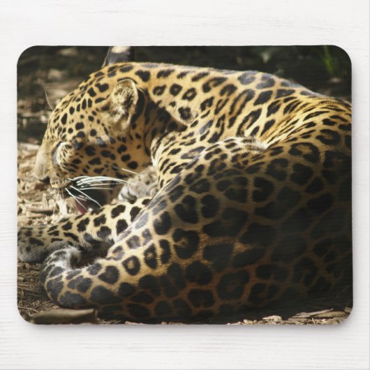 Leopard Mousepad (Vorne)