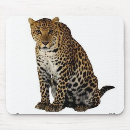 Leopard Mousepad (Vorne)