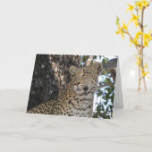 LEOPARD NAHAUFNAHME KARTE (Gelbe Blume)