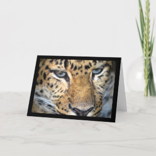 Leopard Nahaufnahme Karte