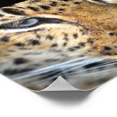 Leopard Nahaufnahme Poster (Ecke)