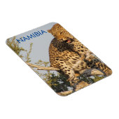 Leopard, Namibia Magnet (Rechte Seite)