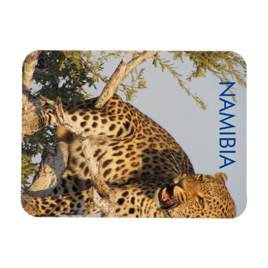 Leopard, Namibia Magnet (Horizontal)