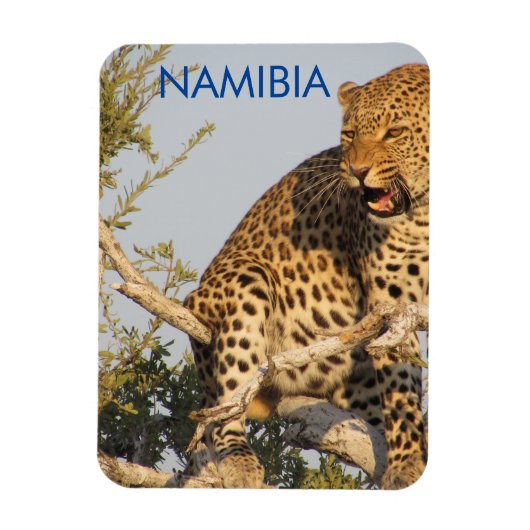 Leopard, Namibia Magnet (Vertikal)